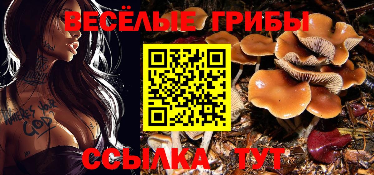Псилоцибиновые грибы Magic Shrooms Алушта